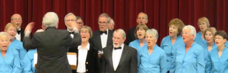 Choir June 2017 b
